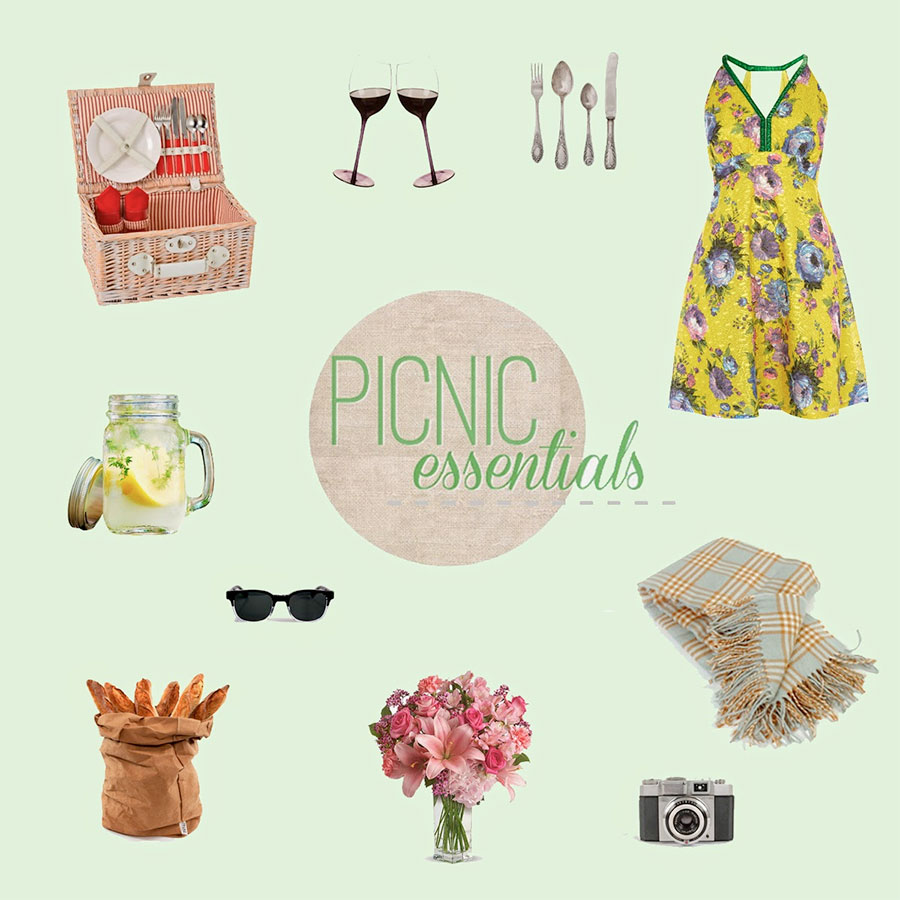 20140806-trafficpeople-picnic-essentials